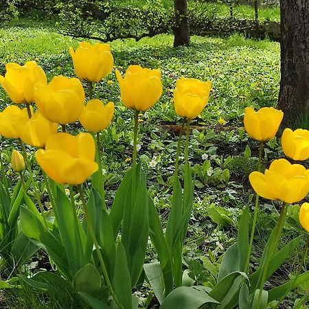 Entre Meuse Et Foret Revin  Екстер'єр фото