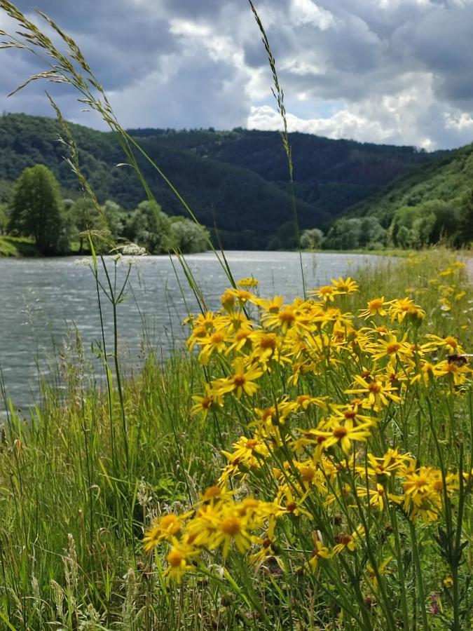 Entre Meuse Et Foret Revin  Екстер'єр фото