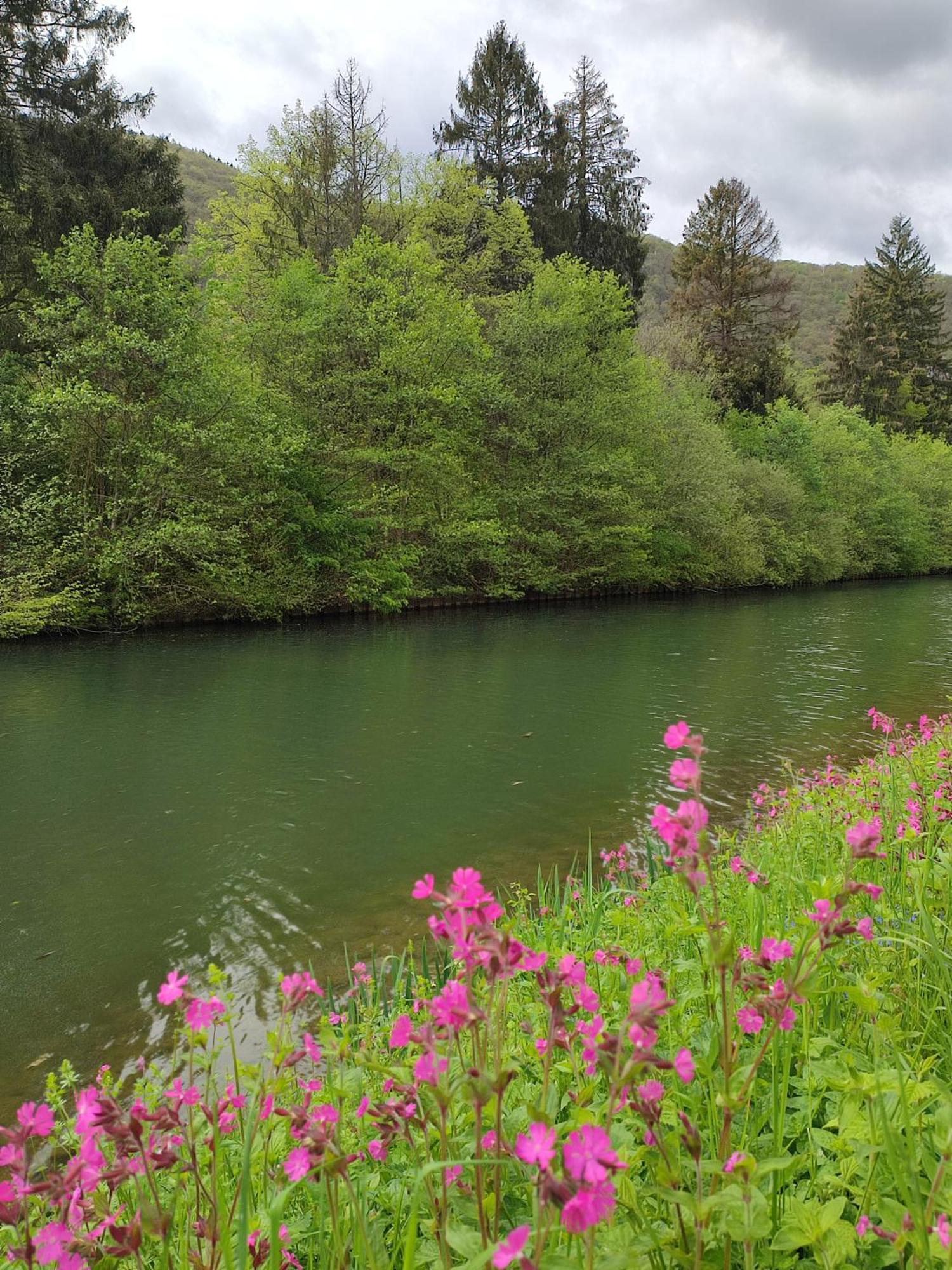 Entre Meuse Et Foret Revin  Екстер'єр фото