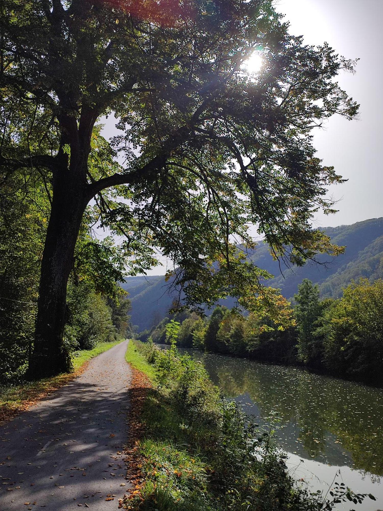 Entre Meuse Et Foret Revin  Екстер'єр фото
