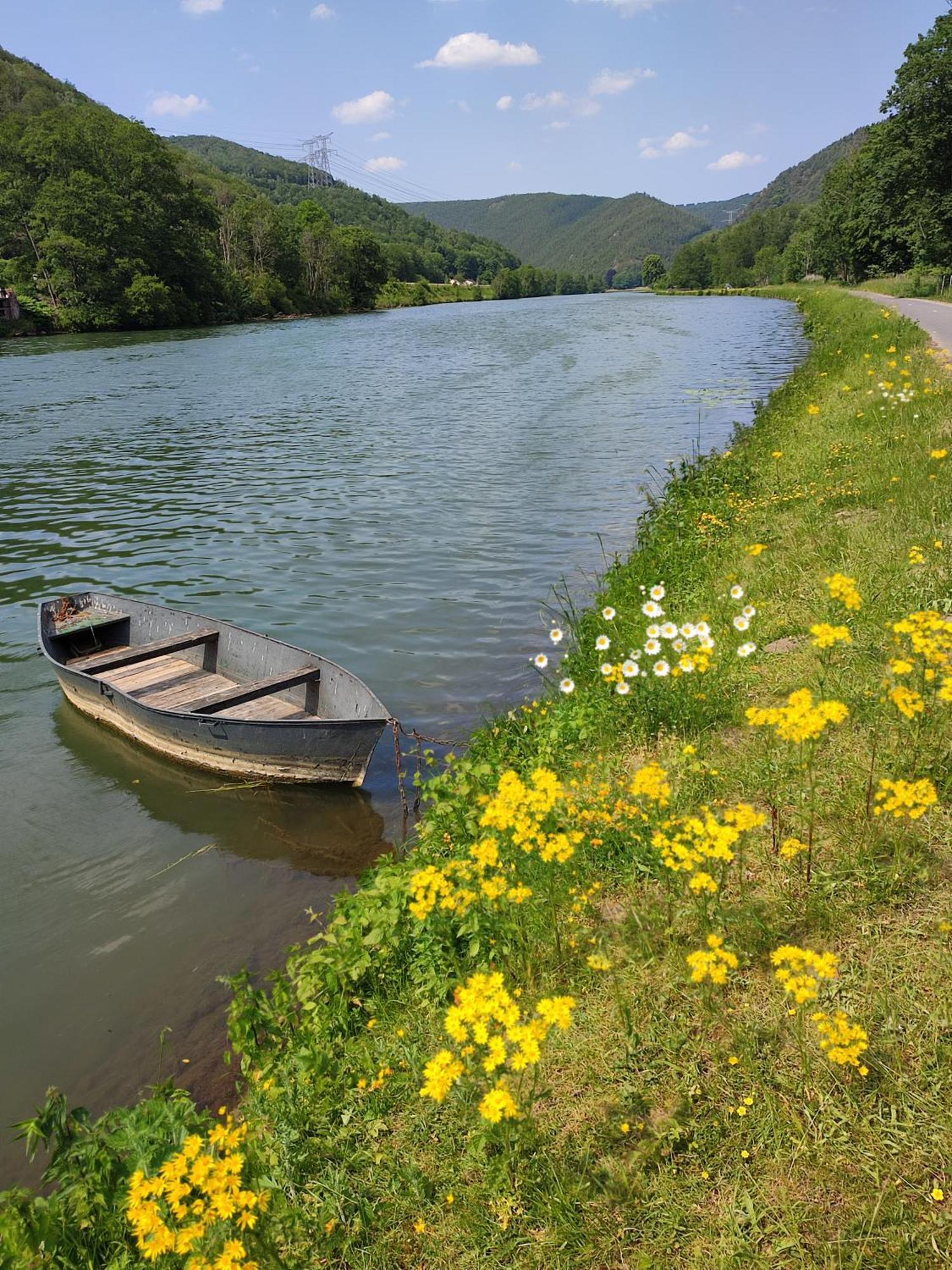 Entre Meuse Et Foret Revin  Екстер'єр фото